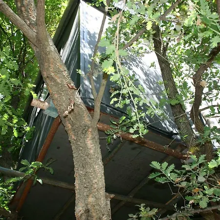 La Casa Sull'albero *