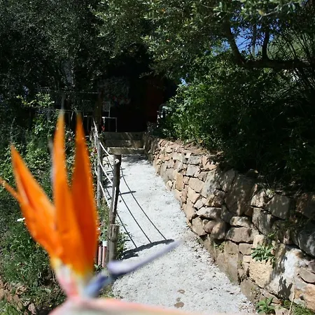 La Casa Sull'albero Campsite