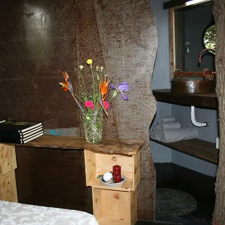 La Casa Sull'albero *