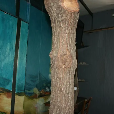 La Casa Sull'albero Cefalù
