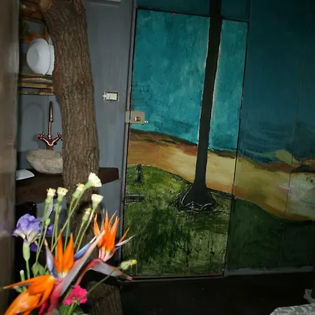 La Casa Sull'albero *
