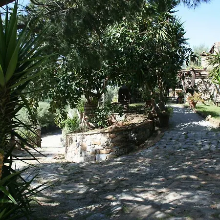 Campsite La Casa Sull'albero *