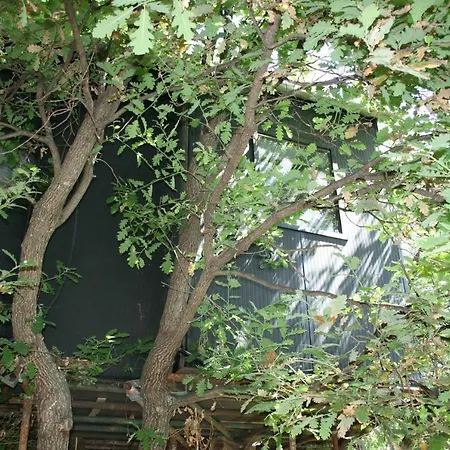 La Casa Sull'albero Campingplads