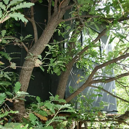 Campingplads La Casa Sull'albero