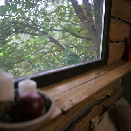 La Casa Sull'albero