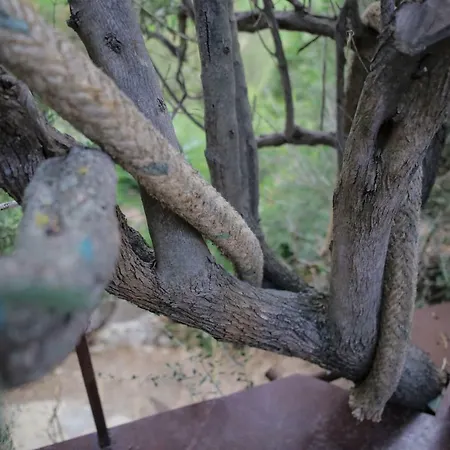 La Casa Sull'albero Campingplatz *