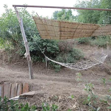 La Casa Sull'albero *